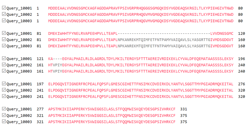 蛋白序列比对和进化树的绘制 蛋白序列比对和进化树的绘制