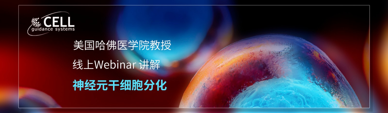 美国哈佛教授分享神经元干细胞的分化