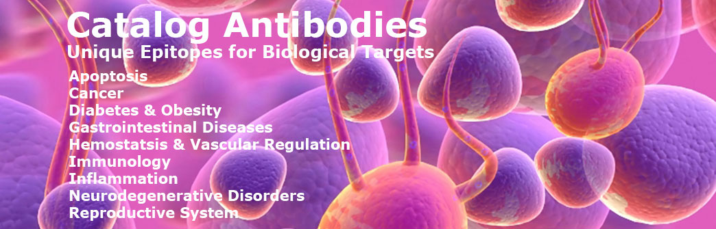 【ABBIOTEC】独家授权总代理正品抗体现货促销！