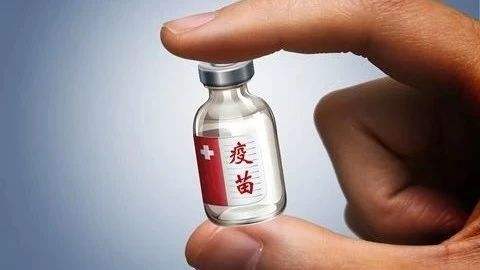 简述Vero细胞的应用与优势