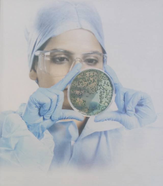 HiCrome™显色培养基快速鉴定细菌，已在国际悄然流行！