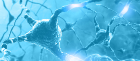 JCB:耶鲁研究者发现溶酶体转运失常导致阿尔兹海默症