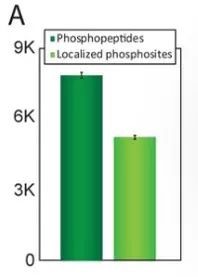 Orbitrap Exploris™ 480第1篇文献