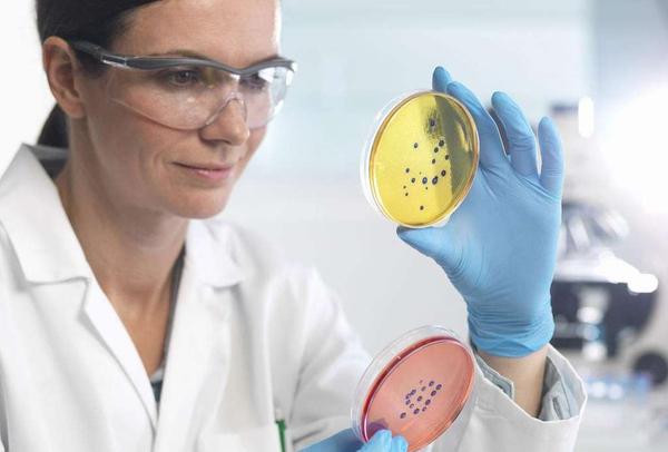 阪崎肠杆菌的检验方法介绍