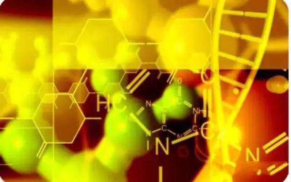 紫草素的抗肿瘤干细胞潜能