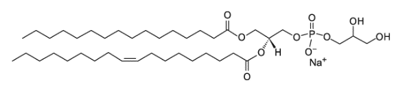 你知道EPG是什么吗？