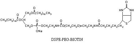 二硬脂酰磷脂酰乙醇胺-聚乙二醇-生物素，DSPE-PEG-Biotin