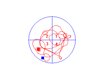 经典行为学分析实验——水迷宫