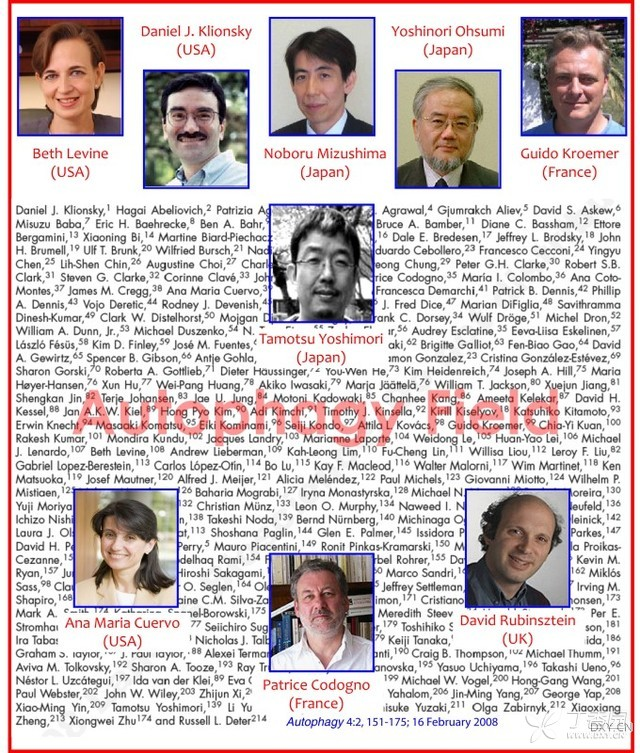 细胞自噬的概念和基本过程