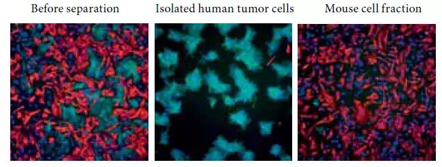 2014年6月新产品
