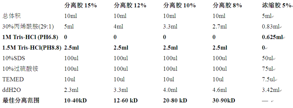爱必信WB彩色凝胶试剂盒上新啦！让您的WB实验多姿多彩