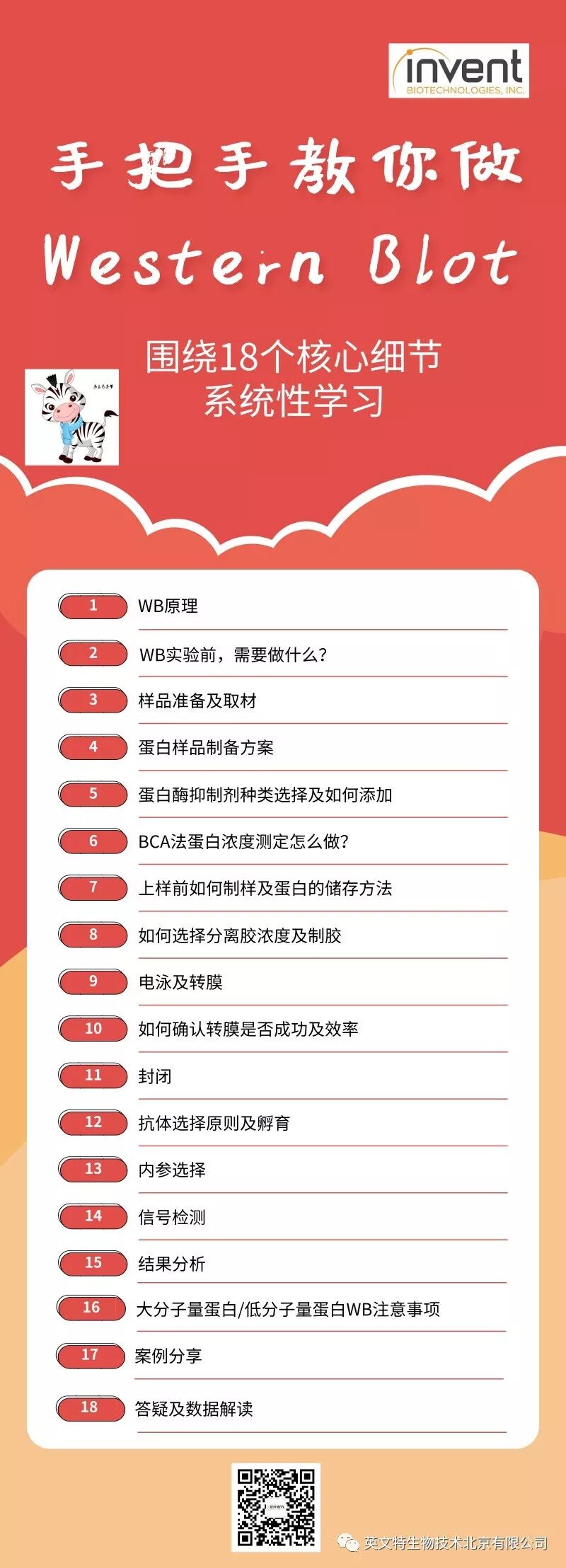 随时听！手把手教你学会WB！