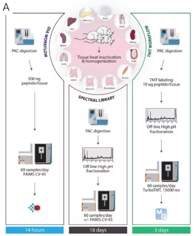 Orbitrap Exploris™ 480第1篇文献