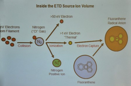 赛默飞精彩亮相第十届乌普萨拉国际会议