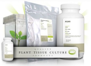 LS培养基配制—Linsmaier & Skoog植物组织培养基