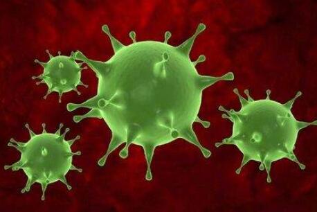 研究发现一种新型肽可通过以前未知的靶点攻击革兰氏阴性细菌