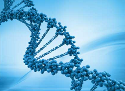 筛选稳定细胞株的3大方法！