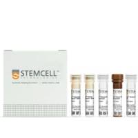 EasySep™ 人 ILC2 分选试剂盒