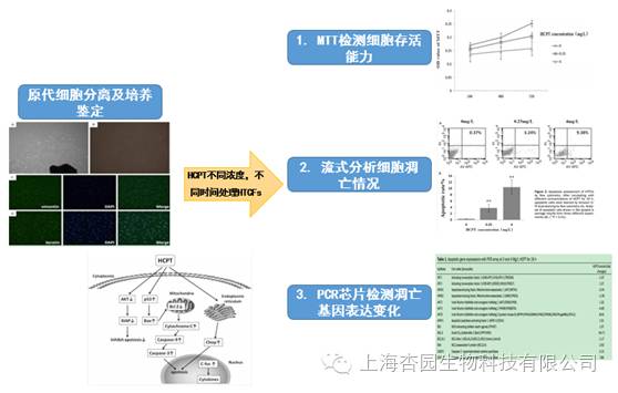 PCR芯片轻松发文章系列二