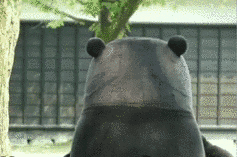 APT 干货分享：UniProt 数据库怎么看？