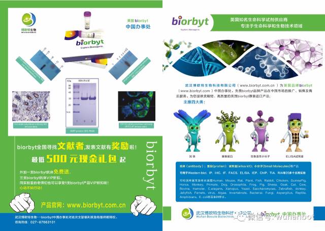 福利！送抗体试剂试用装啦！