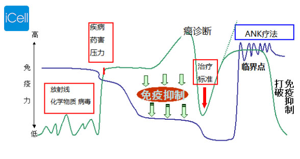 癌症ANK免疫疗法——出现的特征以及反映