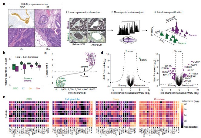 一探前沿全球组学大咖进展,Orbitrap助力科研