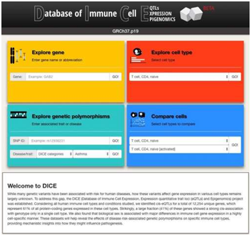 构建出人类免疫细胞图谱，可确定遗传变异对基因表达的影响