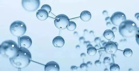 探索生命之源，遇见氨基酸打开冬日味蕾