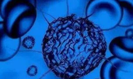 研究开发出了一种新方法来研究诸如白血病血液疾病