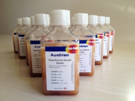 什么是Ausbian进口特级胎牛血清