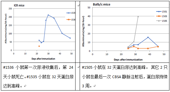新闻图片2