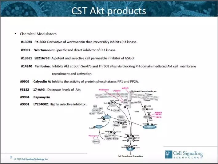指尖上的PPT，讲述Akt的魅力故事。