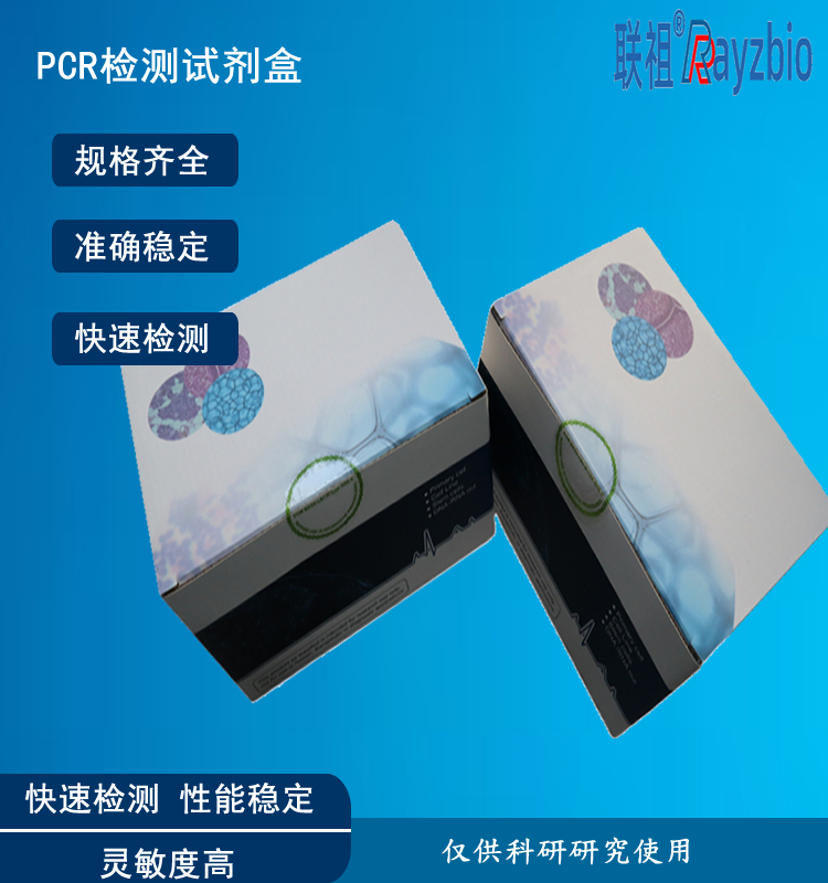 平尾毛细线虫PCR检测的前处理步骤有哪些？