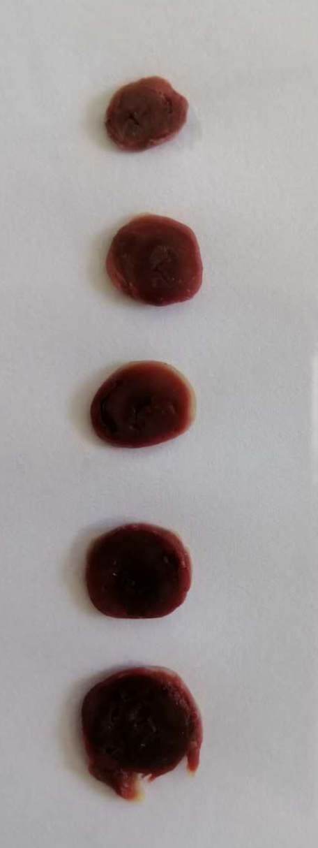 大鼠心肌缺血再灌注模型制备