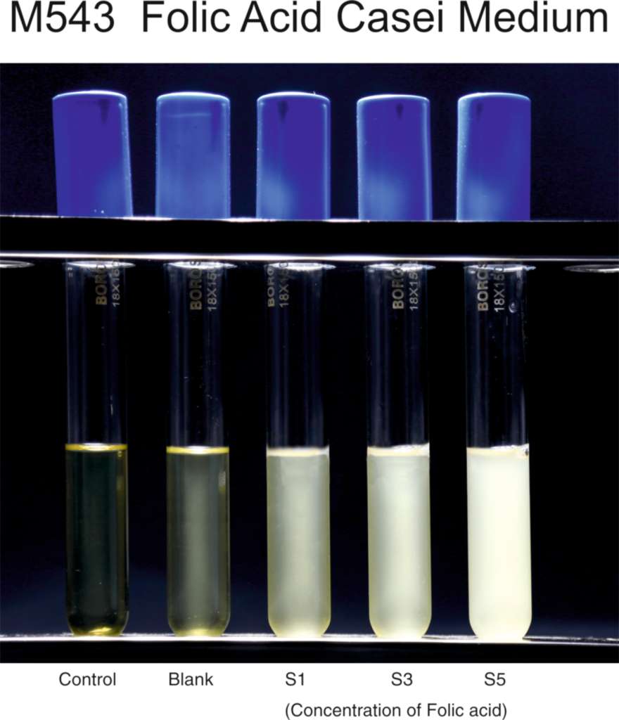 婴儿配方食品中的叶酸测定细解