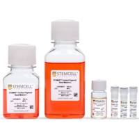 STEMdiff™ 大脑类器官试剂盒