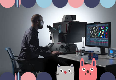 活细胞示踪试剂盒（绿色荧光&可固定）