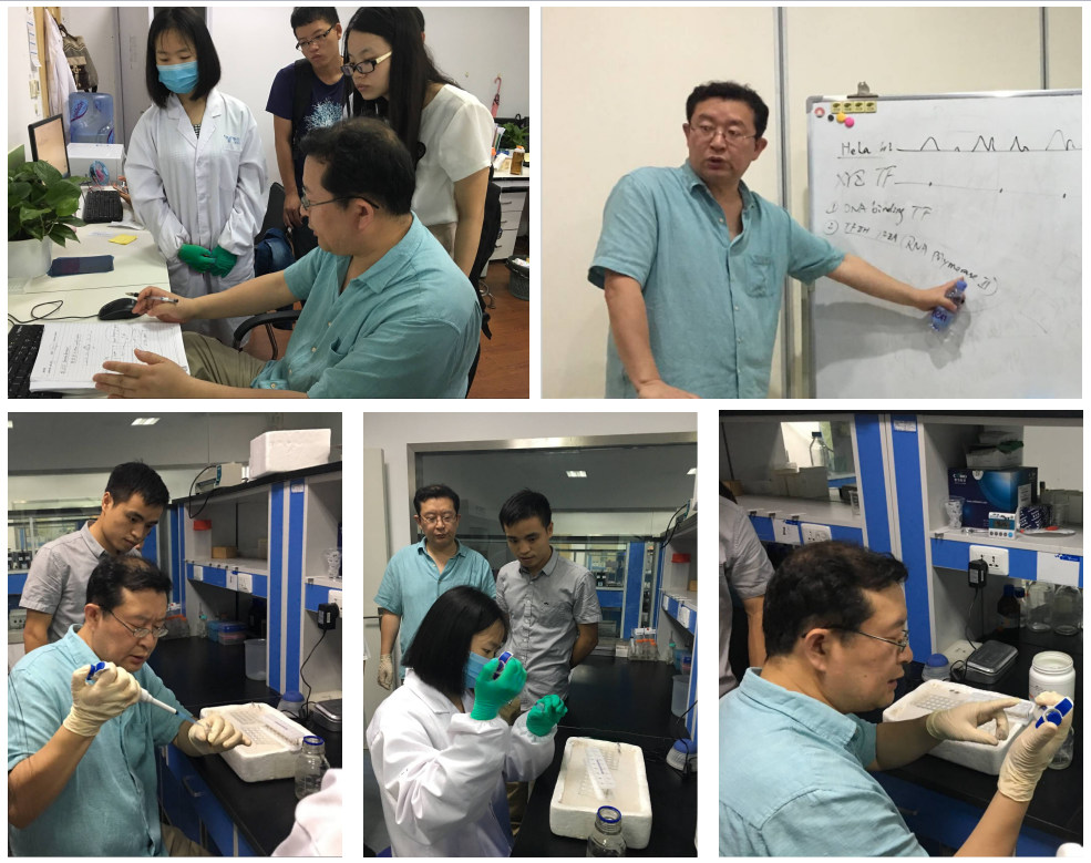 美国约翰霍普金斯大学华裔专家来访武汉华美生物