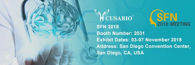 聚焦神经科学——华美生物亮相2018年神经系统科学学会年会（SFN）