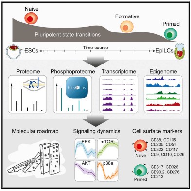 一探前沿全球组学大咖进展,Orbitrap助力科研