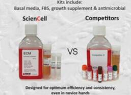 贮存培养基的注意事项有哪些