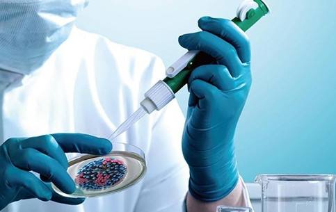 Vero细胞无血清培养基在流感疫苗中的应用