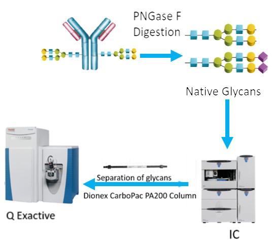 Orbitrap高分辨质谱在生物药物研发和质量控制中的应用