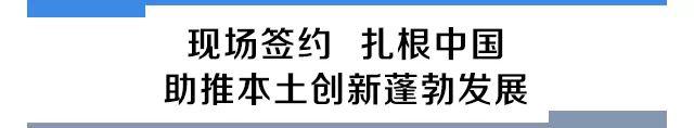进博会最后2天！现场签约抓住红利的尾巴