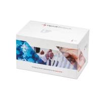 人经典补体途径检测试剂盒  Human Classical Complement Pathway