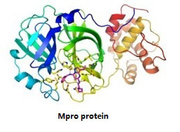 TargetMol's 7 libraries for your research to combat against covid-19