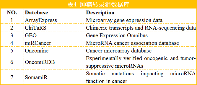 新闻图片11