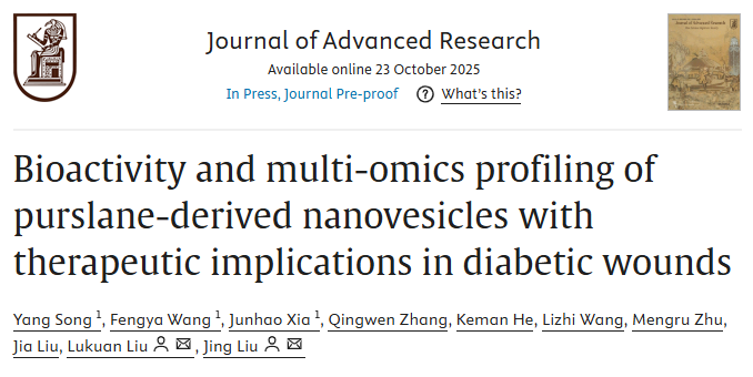 这研究思路绝了！用UC/PEG对比+多组学分析，把马齿苋外泌体的修护底细扒得明明白白！