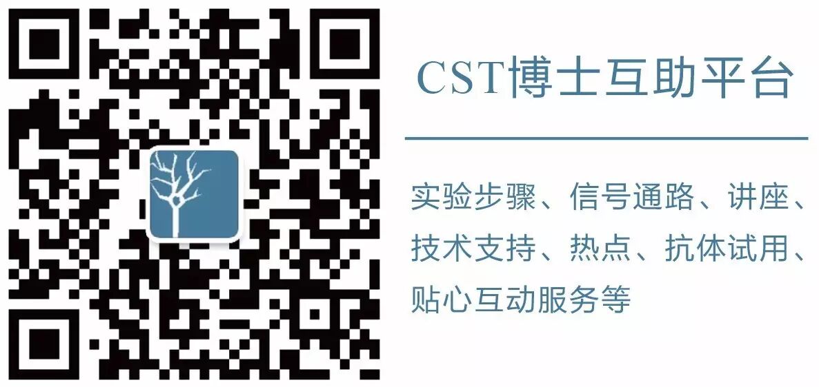 指尖上的PPT，讲述Akt的魅力故事。